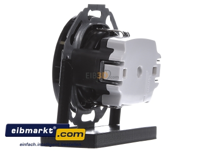 View on the right Berker 47452045 Socket outlet (receptacle)
