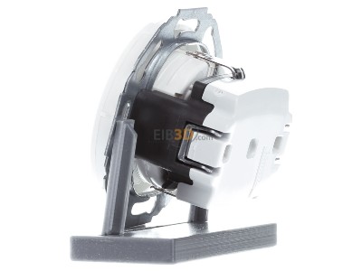 View on the right Berker 47452089 Socket outlet (receptacle) 
