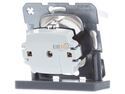 Back view Berker 47512089 Socket outlet (receptacle) 
