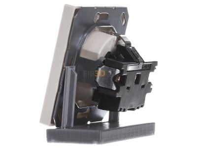 View on the right Jung LS 1520 KI Socket outlet (receptacle) 
