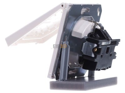 View on the right Jung LS 1520 KIKL WW Socket outlet (receptacle) 
