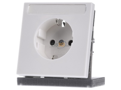 Front view Jung LS 1520 KINA WW Socket outlet (receptacle) 
