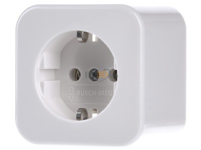 Front view Busch Jaeger 2300 EAP/11W-503 Socket outlet (receptacle) 
