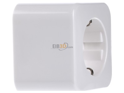 View on the left Busch Jaeger 2300 EAP/11W-503 Socket outlet (receptacle) 
