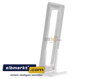 View on the right Gira 100204 Frame 2-gang white 
