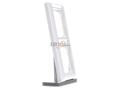 View on the left Gira 110227 Frame 2-gang white 
