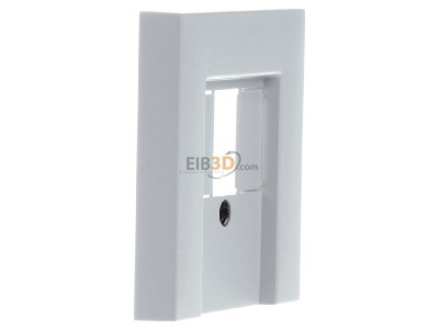 View on the left Gira 0276015 Central cover plate TAE 
