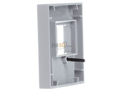 View on the right Gira 0276015 Central cover plate TAE 
