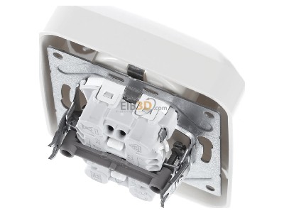 Ansicht oben hinten Busch Jaeger 202 EUJ-212 SCHUKO-Doppelsteckdose 