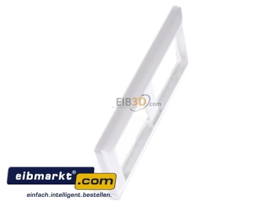 View top left Gira 100203 Frame 2-gang white 
