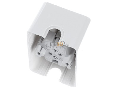 Ansicht oben hinten Gira 478013 2fach SCHUKO-Steckdose + Montageplatte Aufputz Reinwei 