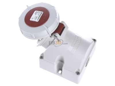 Ansicht oben rechts Mennekes 9142 Wanddose 16A5p6h400V, IP67 