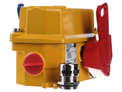 Front view Kiepe HEN 002 Emergency stop pull cord switch 
