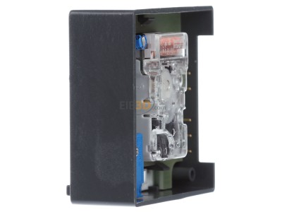 View on the right Eberle UT 475003 Accessories for room thermostat/clock 
