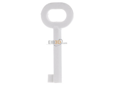 Front view WindowMaster WSK 398 01 (VE5) Special key for enclosure WSK 398 01 (quantity: 5)
