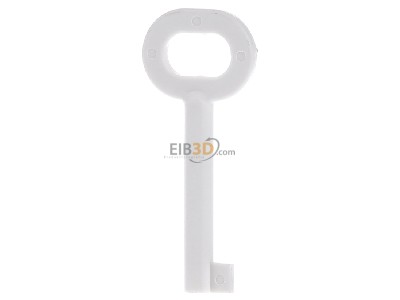 Back view WindowMaster WSK 398 01 (VE5) Special key for enclosure WSK 398 01 (quantity: 5)
