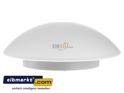 View on the left RZB Zimmermann 211006.002 Surface mounted luminaire 1x75W
