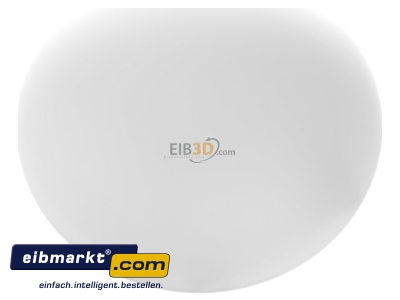 View up front RZB Zimmermann 211006.002 Surface mounted luminaire 1x75W
