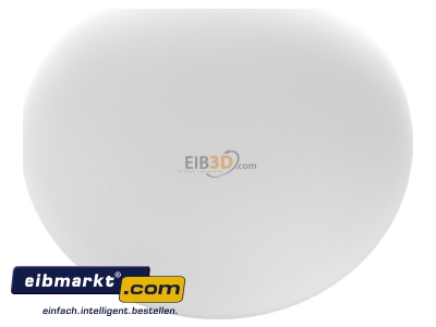 Top rear view RZB Zimmermann 211006.002 Surface mounted luminaire 1x75W
