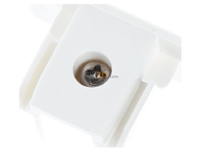 Top rear view SLV 143131 End cap for luminaires 
