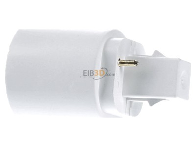 View on the right Scharnberger+Hasenbein 31041 Plug-in lamp holder G24d-1 
