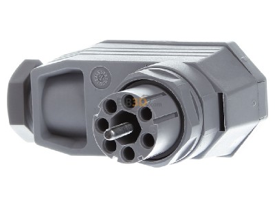 Front view Hirschmann N6 RFFR gr Adapter 
