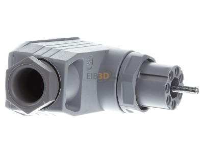 View on the left Hirschmann N6 RFFR gr Adapter 
