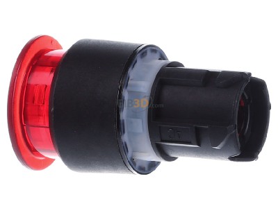 View on the right Siemens 3SU1001-1AA20-0AA0 Mushroom-button actuator red IP68 
