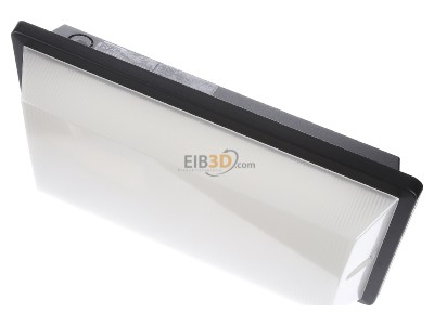 View up front RZB 672182.003 Emergency luminaire 6,2W IP55 
