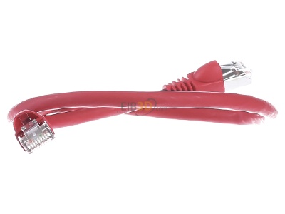 View on the left Telegrtner L00000A0074 RJ45 8(8) Patch cord 6A (IEC) 0,5m 
