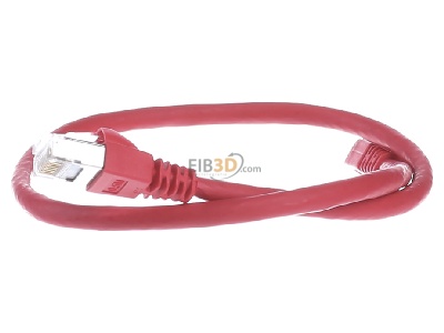 View on the right Telegrtner L00000A0074 RJ45 8(8) Patch cord 6A (IEC) 0,5m 
