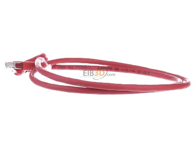 View on the right Telegrtner L00000A0196 RJ45 8(8) Patch cord 6A (IEC) 1m 
