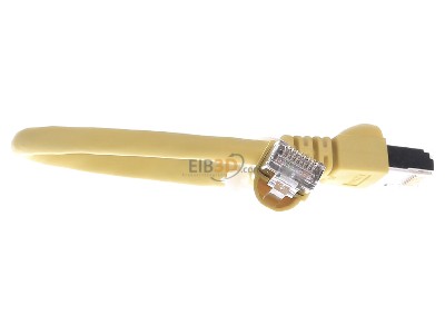 View on the left Telegrtner L00000A0234 RJ45 8(8) Patch cord 6A (IEC) 0,25m 
