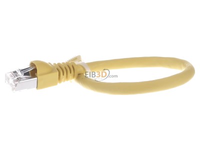 View on the right Telegrtner L00000A0234 RJ45 8(8) Patch cord 6A (IEC) 0,25m 
