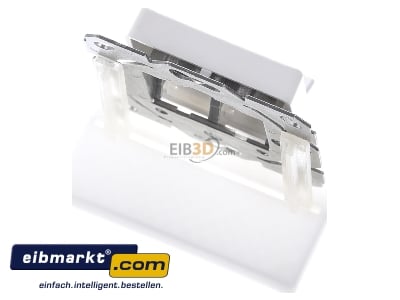 Top rear view Telegrtner H02010A0083 Data outlet white 
