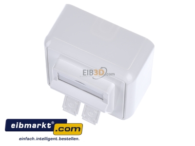 View up front Telegrtner H02000A0092 RJ45 2x8(8) Data outlet white
