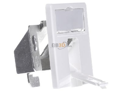 View on the left Telegrtner H02010A0079 Twisted pair Data outlet white 
