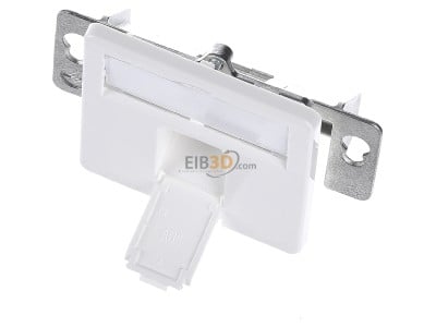 View up front Telegrtner H02010A0079 Twisted pair Data outlet white 

