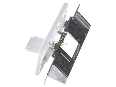 View top right Telegrtner H02010A0079 Twisted pair Data outlet white 
