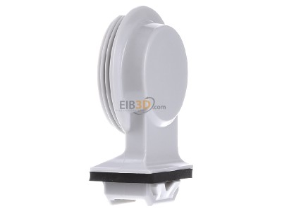 View on the right Schuch 175/1681 Plug-in lamp holder G13 
