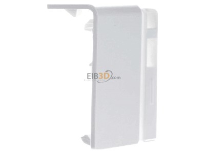 View on the left Tehalit SL2005569016 End cap for baseboard wireway 
