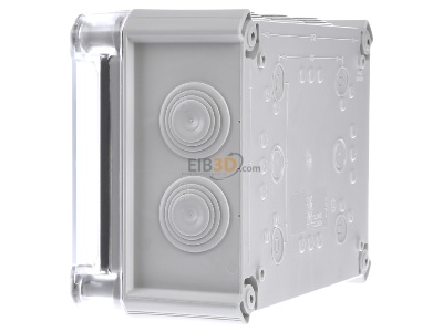 View on the right OBO T 160 HD TR Surface mounted box 190x150mm 
