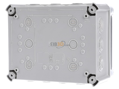 Back view OBO T 160 HD TR Surface mounted box 190x150mm 
