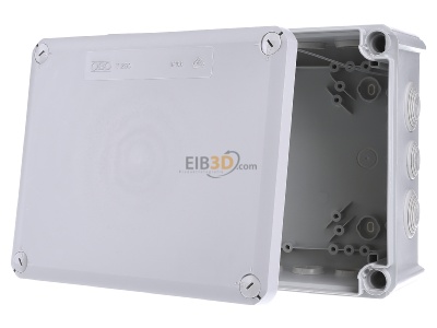 Front view OBO T 250 F Surface mounted box 240x190mm 
