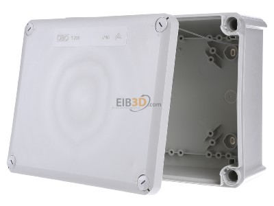 Front view OBO T 250 OE Surface mounted box 240x190mm 
