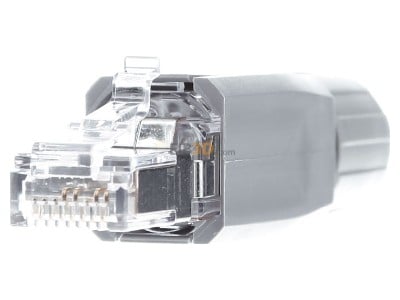 Front view WAGO 750-975 RJ45 8(8) plug 
