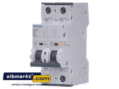 Front view Siemens Indus.Sector 5SY4506-6 Miniature circuit breaker 2-p B6A - 
