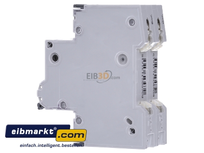 View on the right Siemens Indus.Sector 5SY4506-6 Miniature circuit breaker 2-p B6A - 
