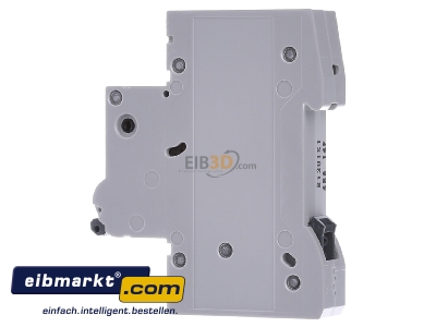 View on the right Siemens Indus.Sector 5SL6113-6 Miniature circuit breaker 1-p B13A
