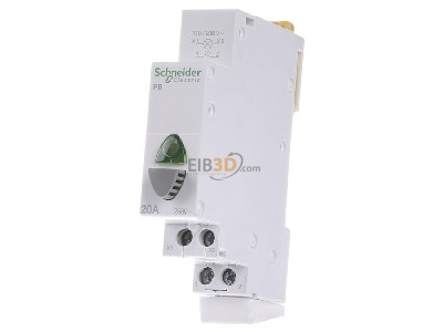 Front view Schneider Electric A9E18036 Push button for distribution board 
